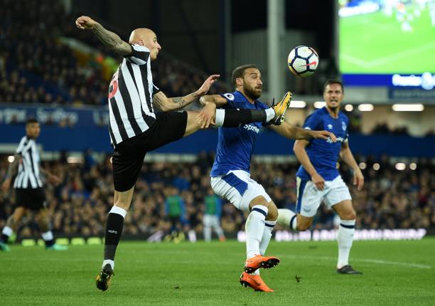 粉丝们心生 粉丝们心生